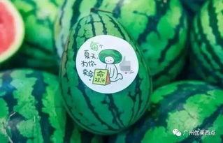 古茗瓜最新爆料 第3张 古茗瓜最新爆料 第3张